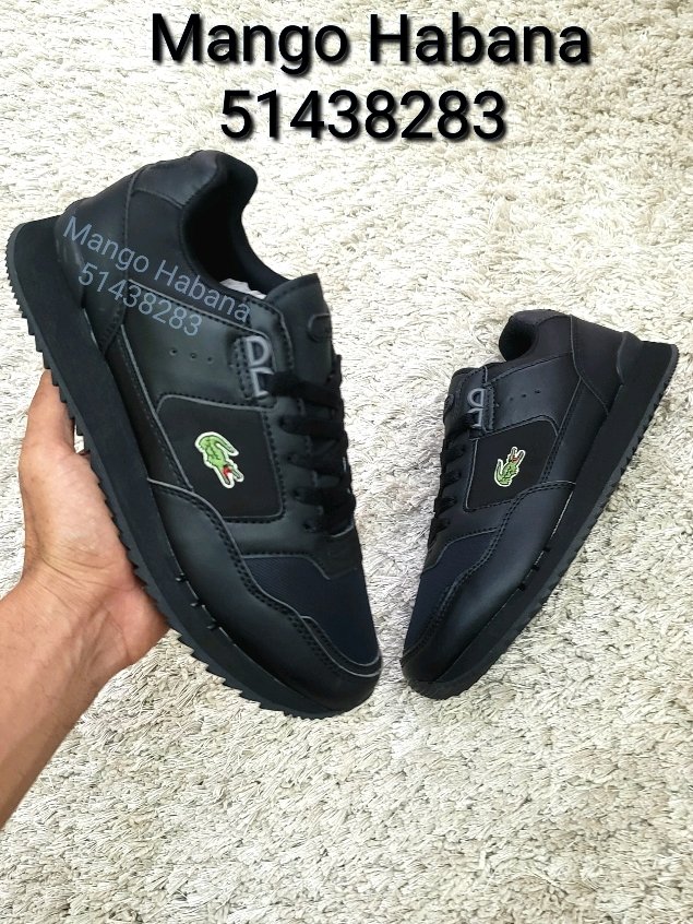 lacoste negros